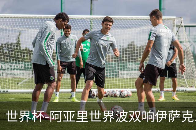 世界杯-阿亚里世界波双响伊萨克1射2传 瑞典5-1突尼斯